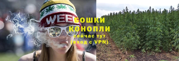 не бодяженный Беломорск